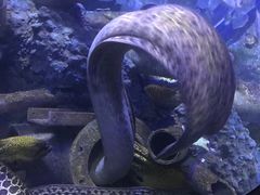 -成都浩海立方海洋公园