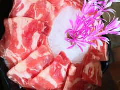 皇室肥牛-探窝·竹笙椰子鸡(杨箕店)