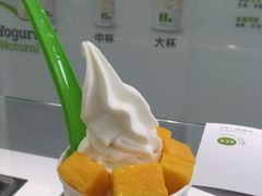 -Salud撒露欧洲冻酸奶(北苑上品店)
