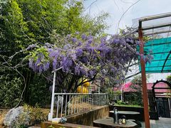 -丽泽山庄·生态怀柔菜·虹鳟鱼(红螺寺店)