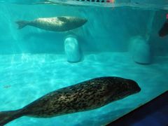 -正佳极地海洋世界