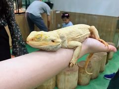 -藦茜花园宠物主题亲子互动体验馆(国顺东路店)