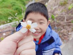 -西涌国际滨海旅游区