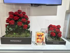 -ROSEONLY诺誓(广州K11店)