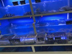 -威海渔村(静安旗舰店)