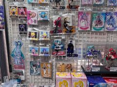 -Animate(秋叶原本馆)