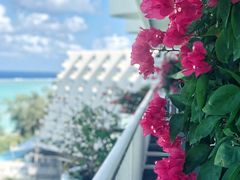 -塞班肯辛顿酒店Kensington Hotel Saipan