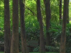 -晓港公园