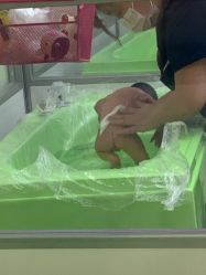 -弗蕾亚·和月月子调理院(东湖店)