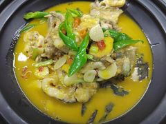 -饭怕鱼·黄焖鲟龙鱼(湖大店)