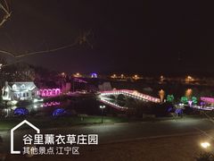 -大塘金香草谷