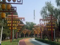 -青龙湖公园