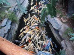 DSC01049-绿色时代大酒店