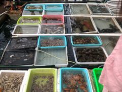 -霞涌市场海鲜摆卖区