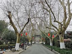 -杭州黄龙洞