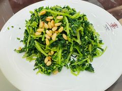 松籽马兰头-富春茶社(国庆路店)