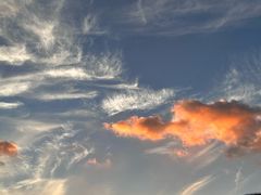 -胜华驾校·小猫学车(银都店)