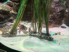 -沈阳海洋探索中心