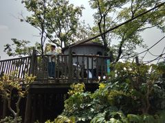 -田园东方蜜桃村的田野营地