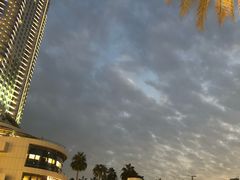 -RED LOBSTER(dubai mall)