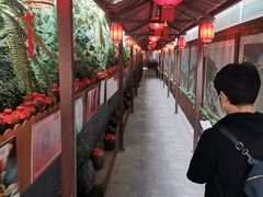 大堂-窄巷子陕菜馆·地道陕西菜(粉巷店)