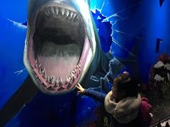 -船奇蒸汽海鲜·闽菜(八市海鲜总店)