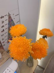 -MIDA蜜哒•科技逆龄美肤连锁