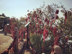 -天津盘山风景名胜区