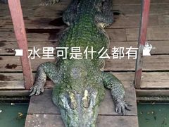 -洞里萨湖