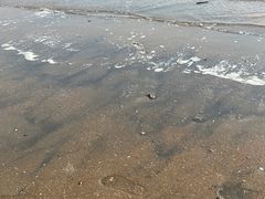 -东疆理想海岸沙滩景区