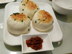 -南枝记
