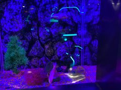 -秦皇岛新澳海底世界