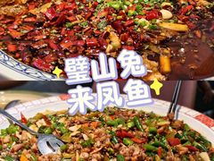 -新概念来凤鱼(璧山店)