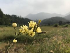 -小格里自然风景区