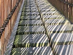 -桤木河湿地公园