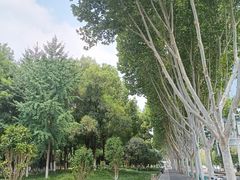 -后襄河公园