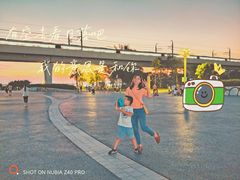 -宝安西湾红树林湿地公园