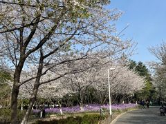 -白塘生态植物园