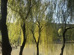 -襄阳烈士陵园(襄城区)