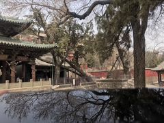 -晋祠公园