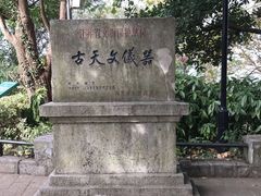 -紫金山天文台