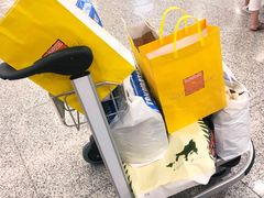 -上海浦东国际机场-T2航站楼
