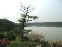 景点-大湾区中央湿地公园