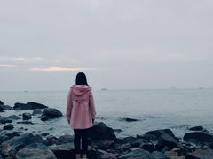 -野狸岛