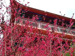 -石岛赤山风景区