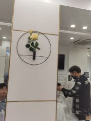 -YESIDO椰岛造型