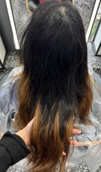 -藤野造型