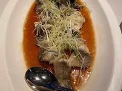 清蒸老虎斑-三号黄浦会Canton Table