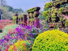 -铁山坪森林公园