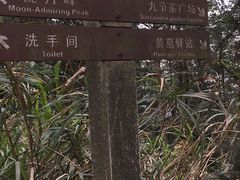 -广州市帽峰山景区